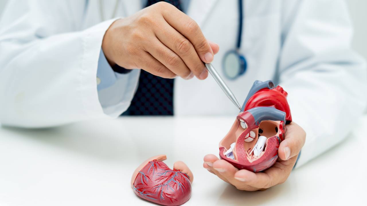 Ενδοκαρδίτιδα: Αιτίες, Συμπτώματα, Θεραπεία - Doctor Home Care